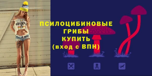дживик Михайловск