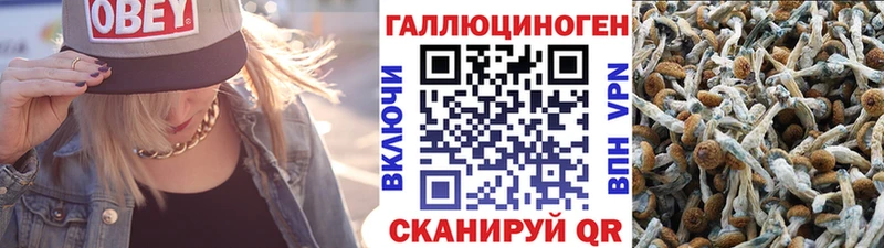 ссылка на мегу ссылки  Малая Вишера  Псилоцибиновые грибы мицелий  где продают наркотики 