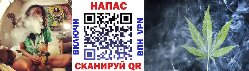 купить наркоту  Малая Вишера  Каннабис сатива 